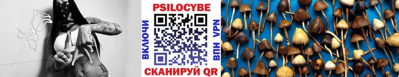 blacksprut маркетплейс  Новомосковск  Галлюциногенные грибы мицелий 